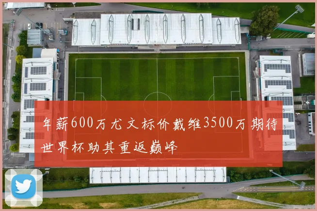 年薪600万尤文标价戴维3500万期待世界杯助其重返巅峰