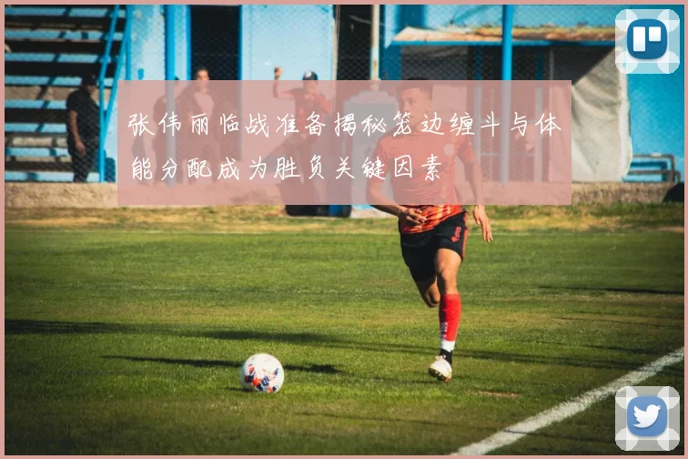 张伟丽临战准备揭秘笼边缠斗与体能分配成为胜负关键因素